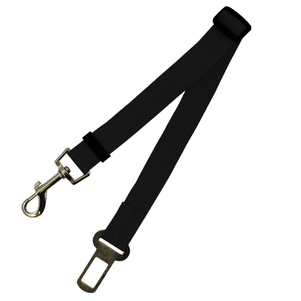 Fixed Strap PRO 12