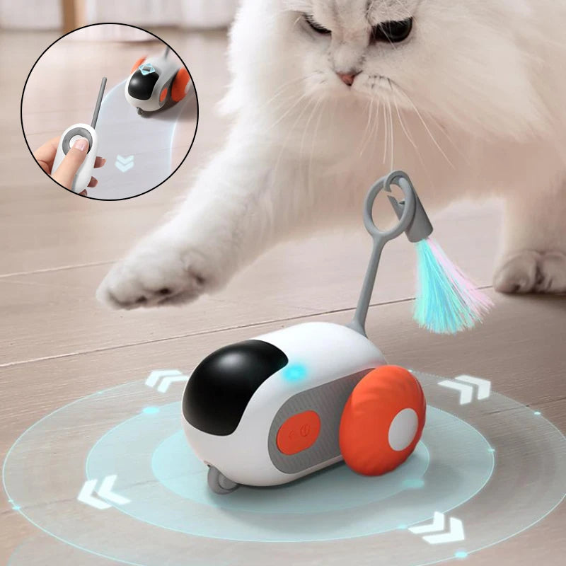 FelineFun Smart Racer