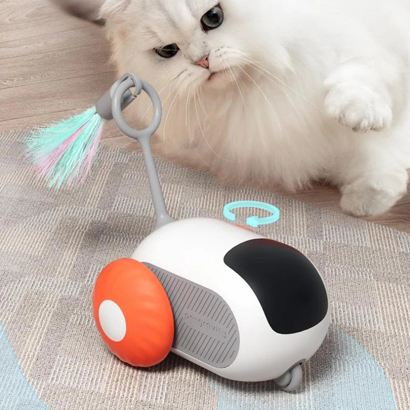 FelineFun Smart Racer